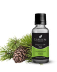 Christmas Tree Fragrance Oil